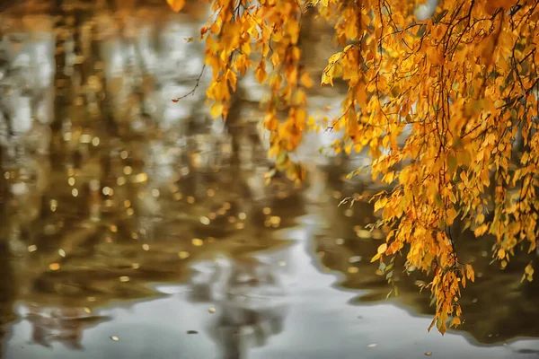 추상적 가을의 뒷배경은 노란색의 동그란 계절을 남긴다 — 스톡 사진