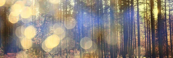 Abstrakcyjny Krajobraz Tło Jesień Słońce Blask Rozjaśnienie Bokeh Widok Słońce — Zdjęcie stockowe