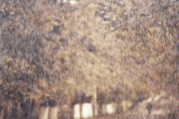 Pioggia Sfondo Autunno Paesaggio Parco Astratto Stagionale Nessuno Tempo Ottobre — Foto Stock