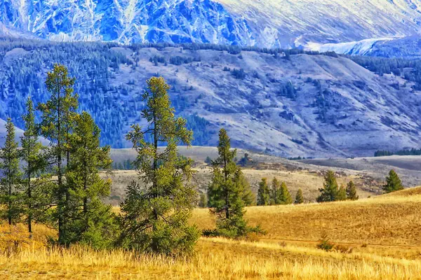 Altai Paesaggio Montano Panorama Autunno Paesaggio Sfondo Caduta Vista Natura — Foto Stock