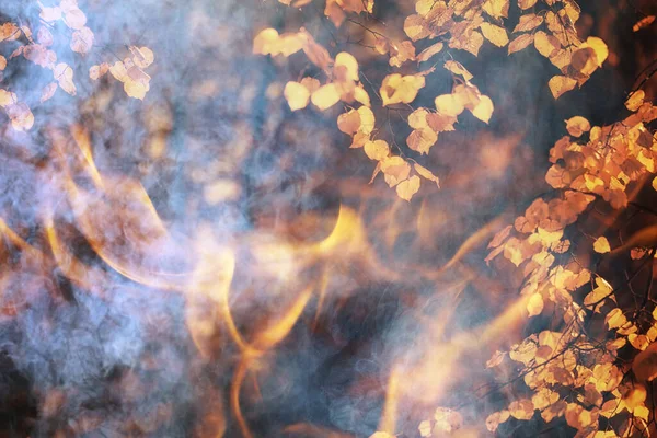 Лесной Пожар Фон Пейзаж Абстрактный Пожар Дым Лесу Засуха Деревья — стоковое фото