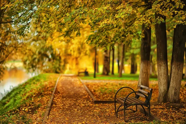 Banc Dans Parc Automne Paysage Abstrait Promenade Loisirs Concept Vie — Photo