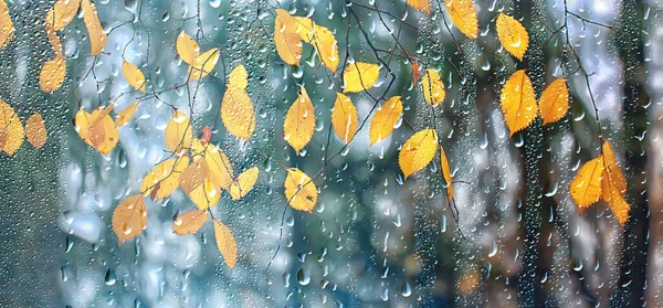 Абстрактное Фоновое Падение Стеклянные Капли Осенью Желтые Листья Влажная Октябрь — стоковое фото