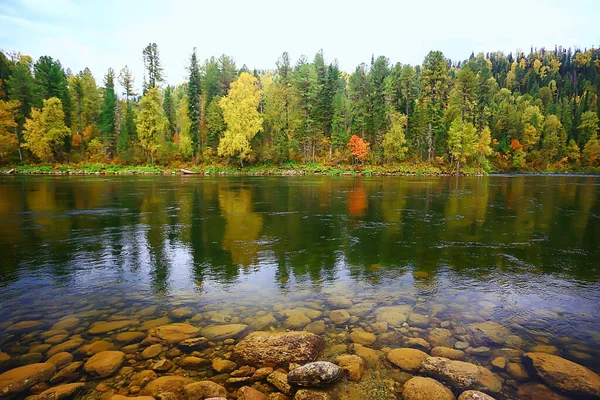 Forêt Dans Les Montagnes Paysage Belle Nature Verdoyante Été Fond — Photo