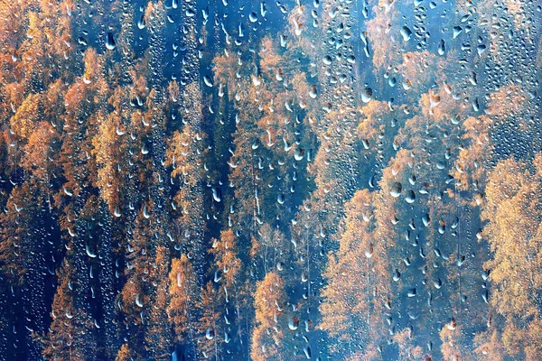 Regenvenster Uitzicht Water Druppels Glas Uitzicht Bos Bergen Landschap Achtergrond — Stockfoto