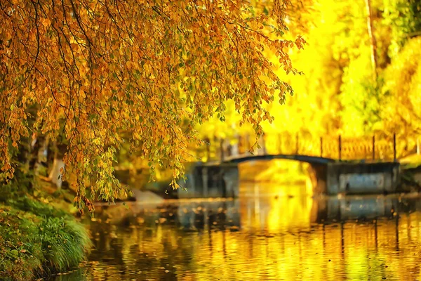 秋の公園の日当たりの良い風景背景オレンジ色の公園 — ストック写真