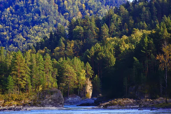 Sommar Landskap Skogen Bakgrund Panorama Natur Sommar Säsong Landskap Träd — Stockfoto