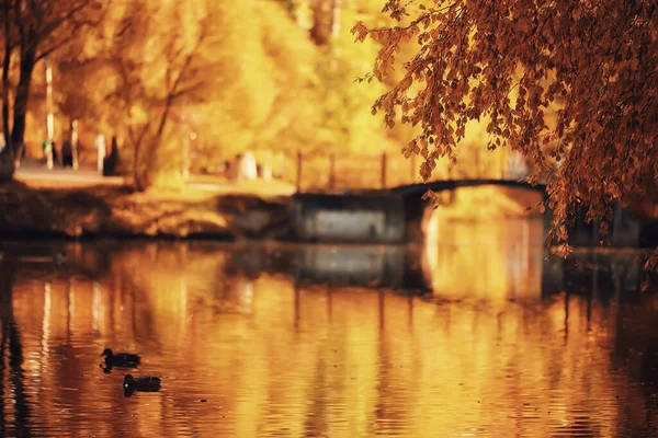 秋の公園の日当たりの良い風景背景オレンジ色の公園 — ストック写真