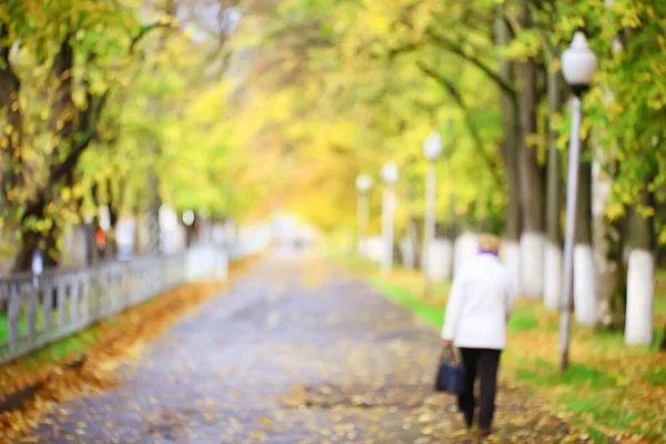 Gränd Höst Park Landskap Falla Gul Väg Säsongsbetonat Landskap Oktober — Stockfoto