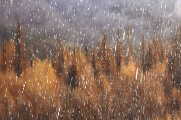 Herfst Landschap Natuur Regen Druppels Weer Nat Buiten Landschap Uitzicht — Stockfoto