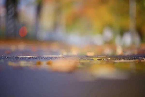 Soyut Bulanık Sonbahar Arka Plan Parkı Şehir Sonbahar Doğası Ekim — Stok fotoğraf
