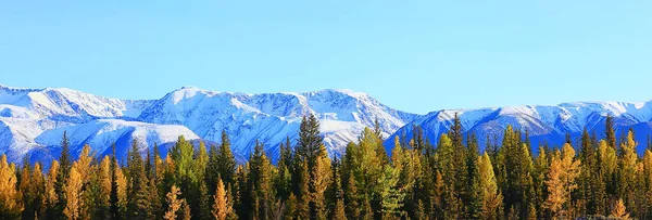 Höst Skog Berg Panorama Landskap Träd Natur Gul Säsong — Stockfoto