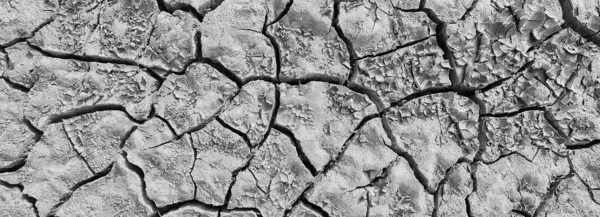 Texture Desert Drought Background Abstract Earth Cracked Warming Global — Stock Photo, Image