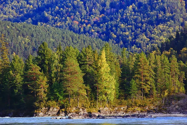 Manzara Sonbahar Manzarası Ağaçları Orman Nehri Göl Doğa Manzarası Arka — Stok fotoğraf