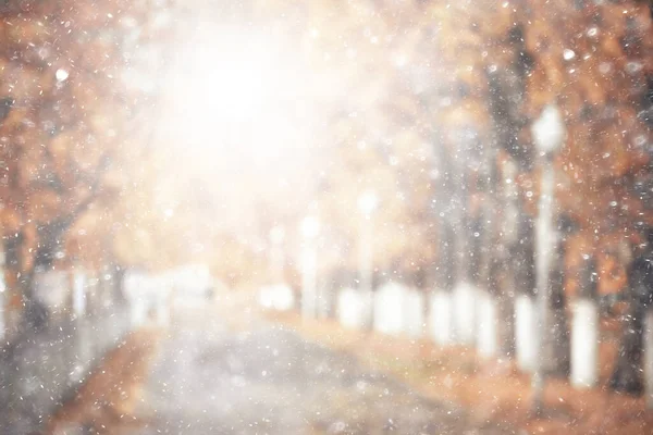 Regn Bakgrund Höst Landskap Park Abstrakt Säsong Ingen Väder Oktober — Stockfoto