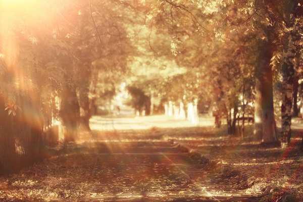 абстрактный размытый осенний фоновый парк, осенью город Природа октябрь