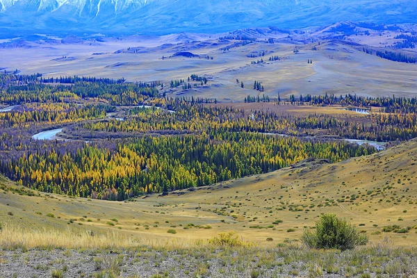 Altai Berg Landskap Berg Bakgrund Panorama — Stockfoto