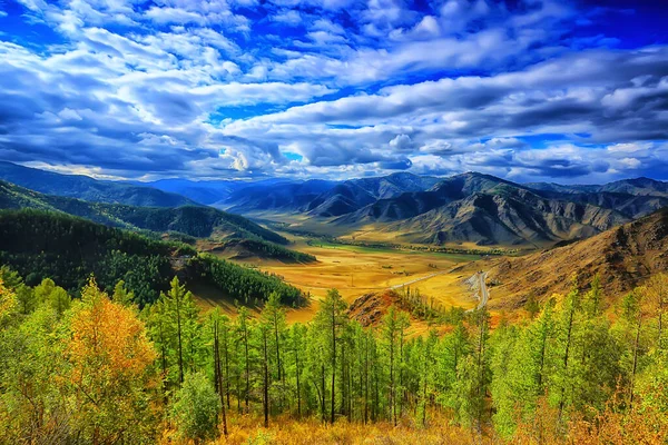 Ліс Горах Краєвид Красива Зелена Природа Літній Фон Ліс — стокове фото
