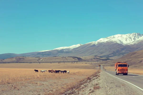 Altai Hegyi Táj Panoráma Őszi Táj Háttér Őszi Természet Kilátás — Stock Fotó