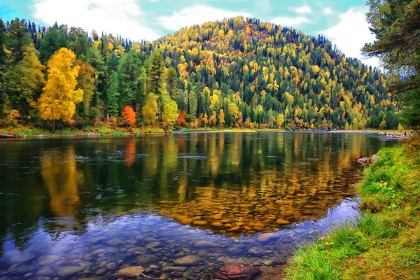 Jesienny Las Krajobraz Abstrakcyjne Tło Październik Widok Żółte Drzewa Jesień — Zdjęcie stockowe