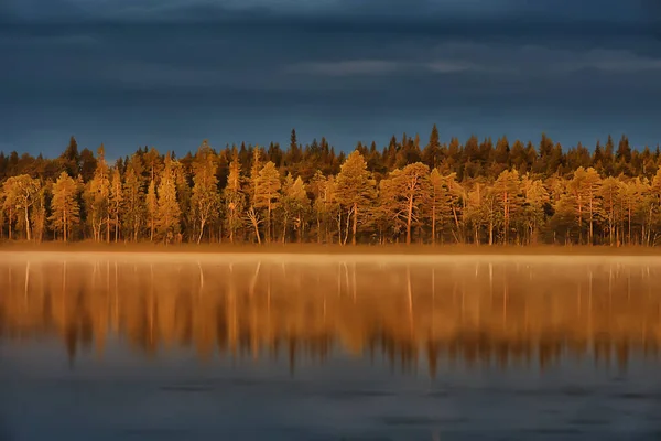 Manzara Sonbahar Manzarası Ağaçları Orman Nehri Göl Doğa Manzarası Arka — Stok fotoğraf