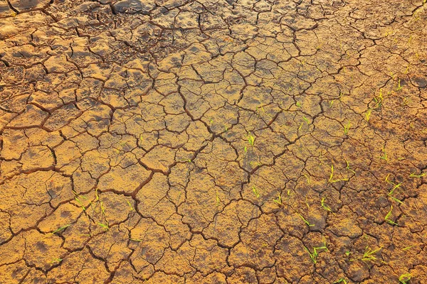 纹理沙漠干旱背景抽象地球裂解变暖全球 — 图库照片