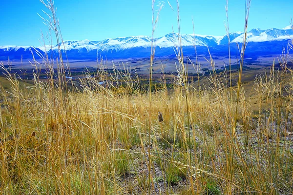 Altai Dağları Arka Plan Manzarası Manzarası — Stok fotoğraf