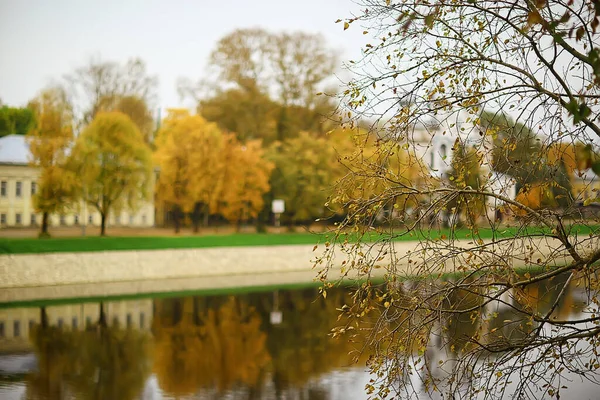 Scenic Autumn Landscape Trees Forest River Lake Nature View Fall — Stock Photo, Image