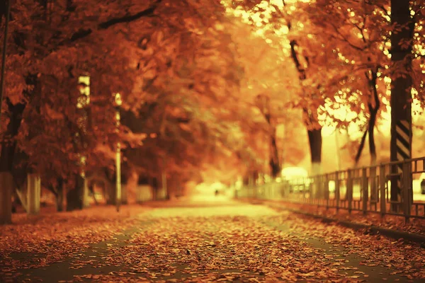 Sonbahar Parkındaki Güneşli Manzara Sonbahar Sezonu Arka Planındaki Portakal Parkı — Stok fotoğraf