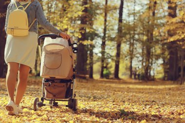 Arka bacaklardan bebek arabası görüntüsü, anne sonbahar soyut arka plan parçası yürür