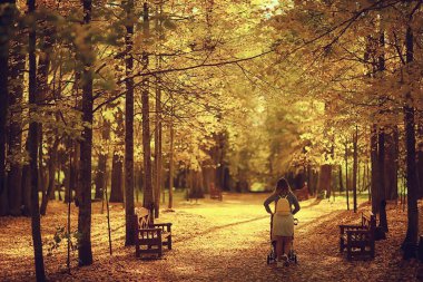 Annem sonbahar parkında yürüyüş için bebek arabasıyla gezer, sonbahar manzarası Ekim ayı sarı park manzarası