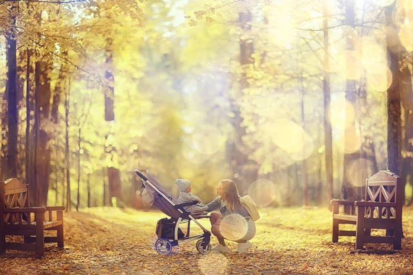 Mãe Com Carrinho Parque Outono Para Passeio Paisagem Vista Outono — Fotografia de Stock