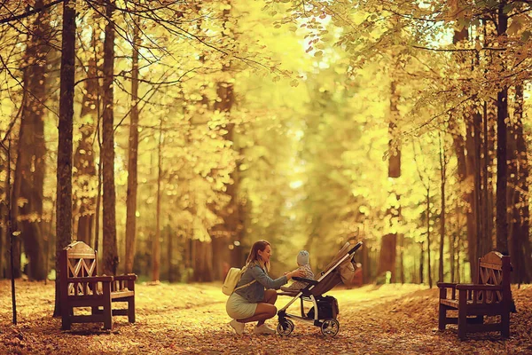 Mutter Mit Kinderwagen Herbst Park Für Einen Spaziergang Landschaft Herbst — Stockfoto
