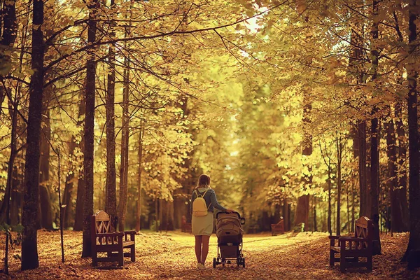 Maman Avec Une Poussette Dans Parc Automne Pour Une Promenade — Photo