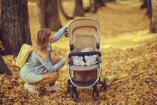 Mom Stroller Autumn Park Walk Landscape Autumn View October Alley — Stock Photo, Image