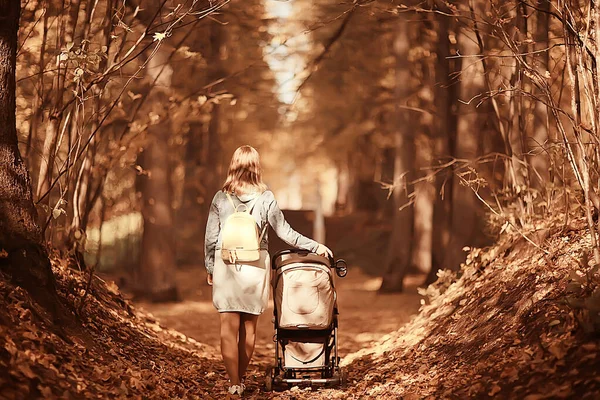 Mamma Con Passeggino Nel Parco Autunnale Una Passeggiata Paesaggio Autunno — Foto Stock