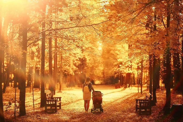 Maman Avec Une Poussette Dans Parc Automne Pour Une Promenade — Photo