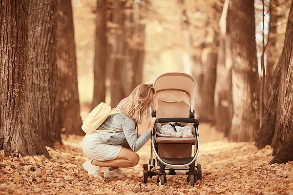 Mom Stroller Autumn Park Walk Landscape Autumn View October Alley — Stock Photo, Image