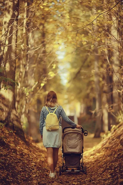 Stroller View Back Legs Mom Walk Autumn Abstract Background Fragment — Stock Photo, Image