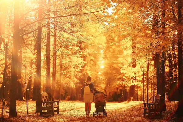 散歩のために秋の公園でベビーカーを持つお母さん風景秋の景色10月の路地黄色の公園 — ストック写真