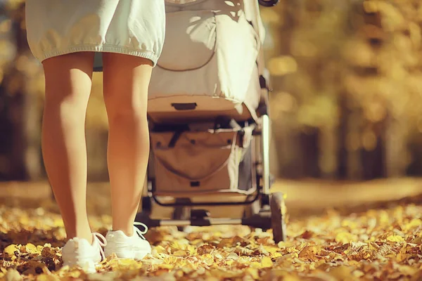 後ろ足からのベビーカーの眺めお母さんは秋の抽象的な背景の断片を歩く — ストック写真