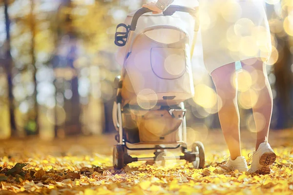Stroller View Back Legs Mom Walk Autumn Abstract Background Fragment — Stock Photo, Image
