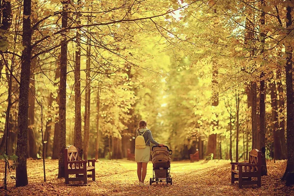 Kinderwagen Blick Von Den Hinterbeinen Mutti Fuß Herbst Abstrakten Hintergrund — Stockfoto