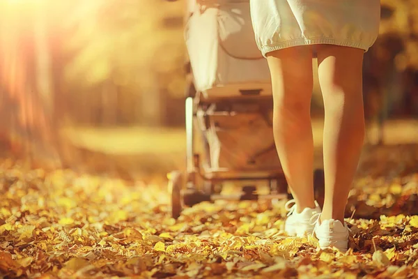 後ろ足からのベビーカーの眺めお母さんは秋の抽象的な背景の断片を歩く — ストック写真