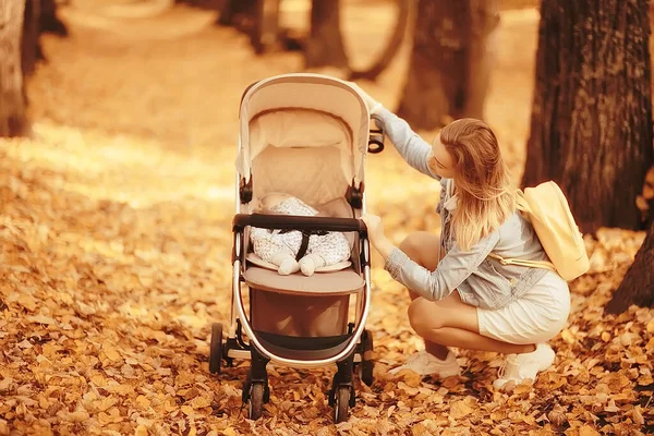 Mama Wózkiem Jesiennym Parku Spacer Krajobraz Jesień Widok Październik Aleja — Zdjęcie stockowe