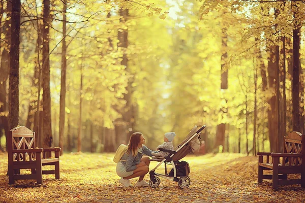 Mamma Con Passeggino Nel Parco Autunnale Una Passeggiata Paesaggio Autunno — Foto Stock