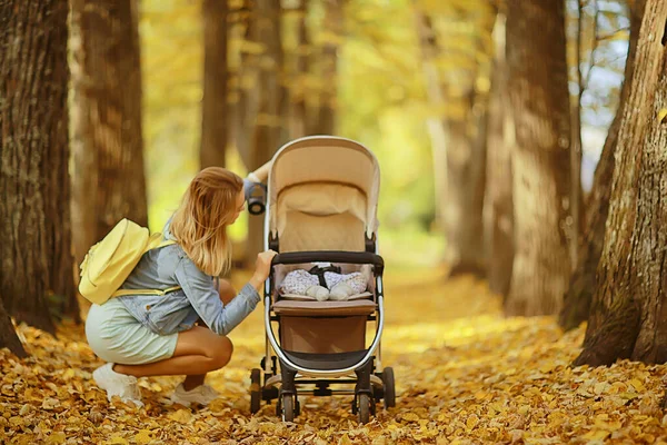 Moeder Met Een Wandelwagen Het Najaar Park Voor Een Wandeling — Stockfoto