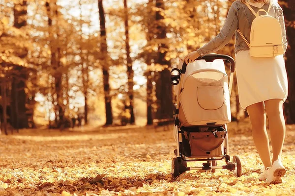 Wózek Widok Tyłu Nogi Mama Chodzić Jesienią Abstrakcyjny Fragment Tła — Zdjęcie stockowe