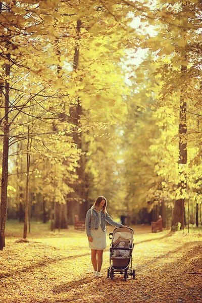 散歩のために秋の公園でベビーカーを持つお母さん風景秋の景色10月の路地黄色の公園 — ストック写真