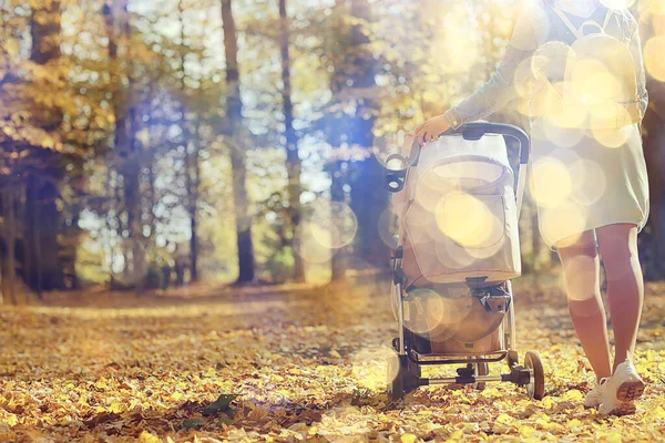 Kinderwagen Uitzicht Van Rug Benen Mam Lopen Herfst Abstracte Achtergrond — Stockfoto